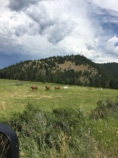 58473088132__650e4b3d-d219-4fdc-9164-2ae5d2143134